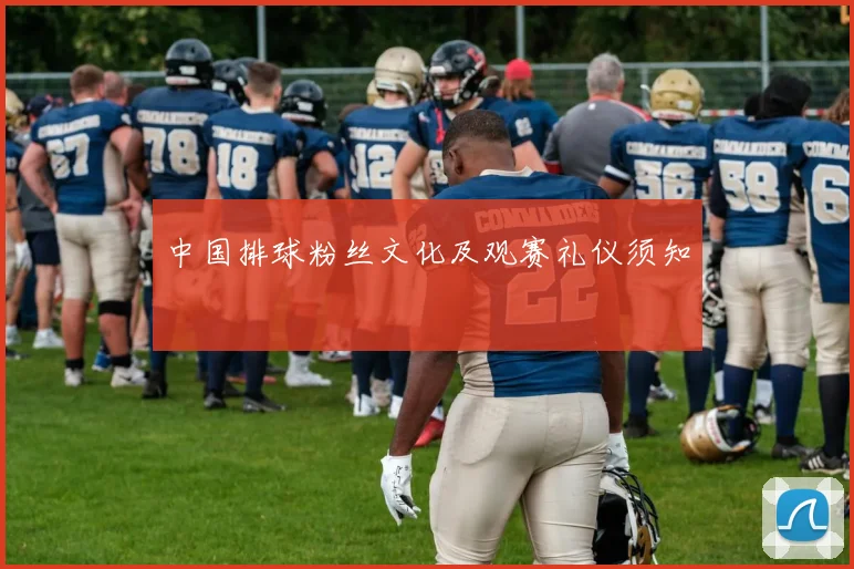 中国排球粉丝文化及观赛礼仪须知