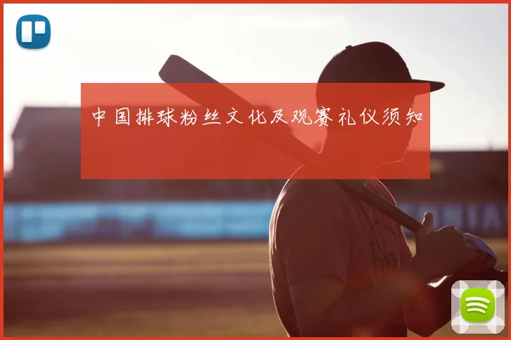 中国排球粉丝文化及观赛礼仪须知