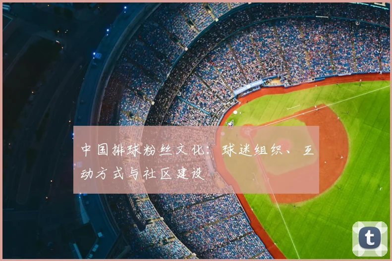 中国排球粉丝文化:球迷组织、互动方式与社区建设
